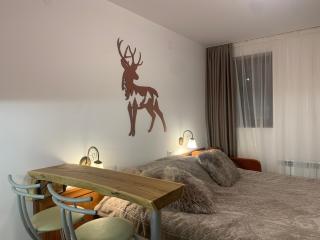 Bansko Ski To Door Studio De Luxe - 1