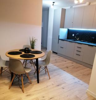 Szczecin Hanza Tower APARTMENT-BASEN - Szczecin - 1