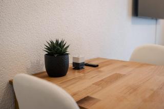 Gemütliches Studio im Stadtzentrum - Biel/Bienne - 8