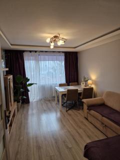 APARTAMENT - 2 pokoje w Łodzi - blisko Atlas Arena, Zoo, Centrum, Piotrkowska - Łódź - 3