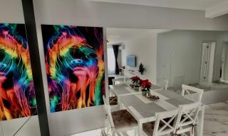 Magic Mirror - 7