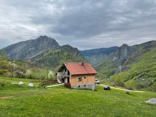 Family owned self sufficient ECO farm TARA - Pljevlja - 0