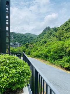 A2 at Forest Khaoyai - 2