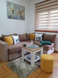 ApartmanBogdanović012 - Zlatibor - 5