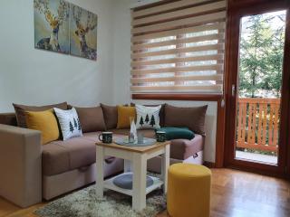 ApartmanBogdanović012 - Zlatibor - 7