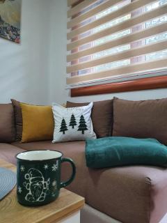 ApartmanBogdanović012 - Zlatibor - 8