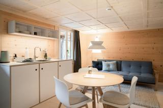 Lenk Lodge - Boutique & Design Hotel und Apartements - 2
