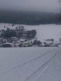 Hotel ČESKÁ FARMA - Dolni Dvur - 1
