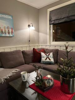 Hyggelig leilighet i sentrum - Hemsedal - 0