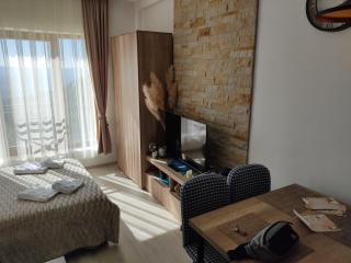 Apartman Adelfes P16, Milmari Resort - Kopaonik - 3
