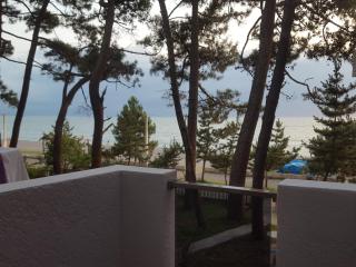Wave-ტალღა - Kobuleti - 6