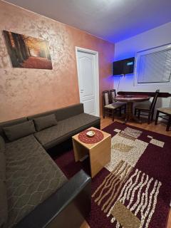 Apartman JZ Zlatibor - Zlatibor - 7