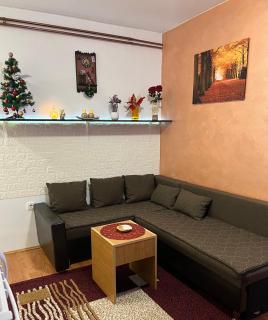 Apartman JZ Zlatibor - Zlatibor - 6