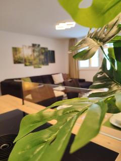 Modern Mountain Apartment - free parking & sauna - Obertauern - 3