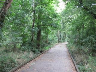 Cozy 2 Bedroom Duplex In Charlotte, Jacuzzi, Sleeps 6 plus 2 - 6