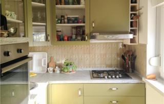 Lovely Home In Cerovac Vukmanicki - 4