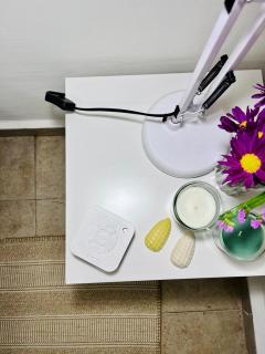 Acogedor y luminoso departamento Condesa - 1