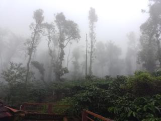 Chilly Coorg - Virajpet - 4