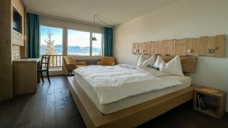 Kräuterhotel Edelweiss - Rigi Kaltbad - 4