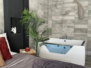 Superbe appartement avec balnéo. - Saint-Cyprien - 5