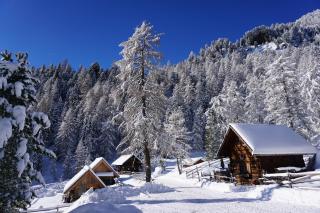 Bergheim Schmidt, Almhütten im Wald Appartments an der Piste Alpine Huts in Forrest Appartments near Slope - 8