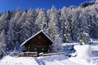 Bergheim Schmidt, Almhütten im Wald Appartments an der Piste Alpine Huts in Forrest Appartments near Slope - 6