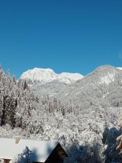 Le Chardon Bleu - Châtel - 9