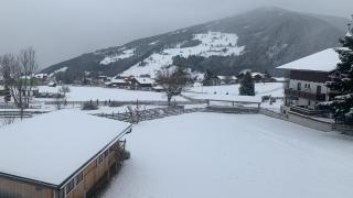 Frühstückspension Erika - 5