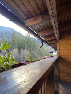 Alvi Apartment Poiana Brasov - Poiana Brasov - 8