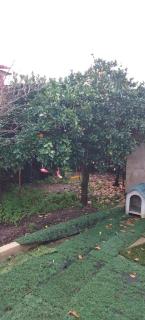 Casinha de chocolate - Outeiro - 3