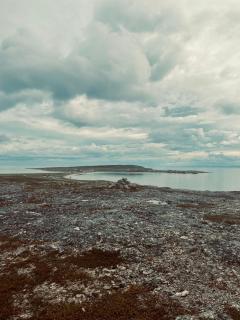 Ekkerøy Lodge - Arctic living under the northern lights - 9