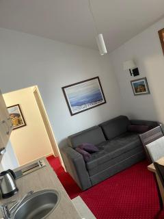 Apartmani ŽUPA - Kopaonik - 7