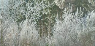 Le Numéro 12 - Chalet à Francorchamps - 4