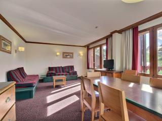 Grand 3 pièces au dernier étage avec vue sur pistes, animaux admis - FR-1-455-204 - 7