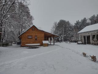 Kolorowe Wzgórze agroturystyka i konie - Trojanów - 8