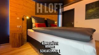 H-Loft Style Apartments - Bad Lauterberg im Harz - 1