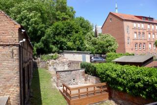 Roter Hirsch - Oderberg - 9