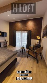 H-Loft Style Apartments - Bad Lauterberg im Harz - 4
