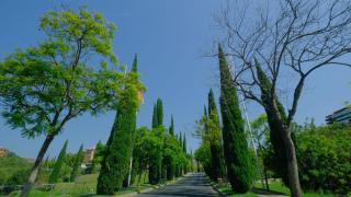 Los Flamingos Luxurious-Royal Flamingos - Estepona - 9