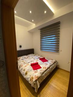 Apartman Borce - Zlatibor - 9
