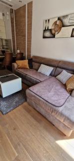 Apartment Mihajlović - 2