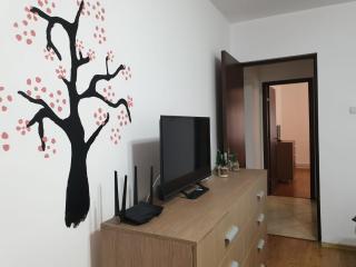 Apartament La Vivi - 1