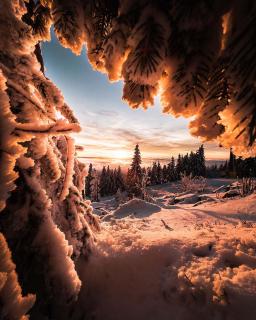 Ferienwohnung im Chaletstil Ährenglück 70 qm Wellness Fitness Sauna Bergrödelhof - 0