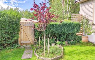 The Woodpecker Cottage Tree - 1