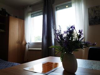 APARTMAN 64 - Besplatan PARKING za goste - Novi Sad - 6