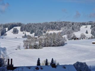 Allgäuer Ausblick - Missen-Wilhams - 5