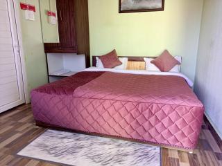 Upvan Guest House and Residence - Bhimtal - 7