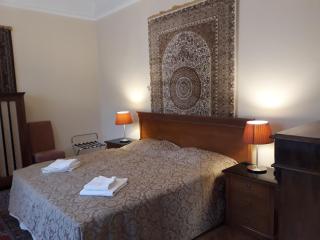 Swan - Budapest - 9