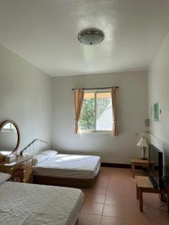 Green Forest Homestay - Nung-hui-ti - 1