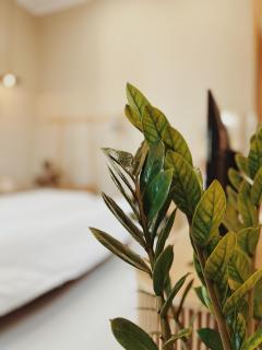 XOM House Biển Hồ - 1